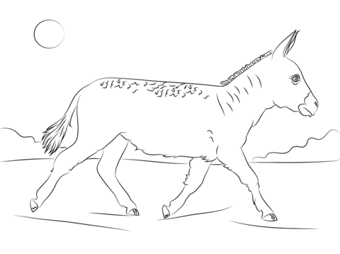 Walking Donkey Coloring Page